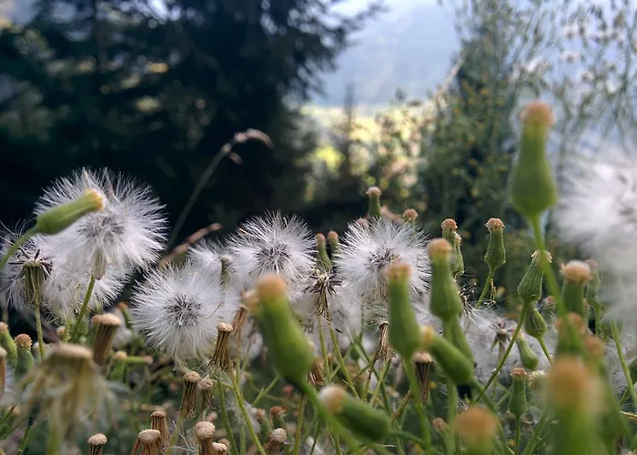 公寓 勒澄霍夫公寓