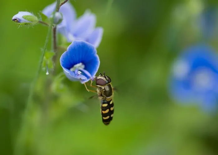 Apartament Lercherhof *