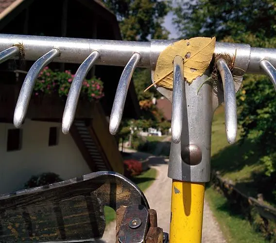 Lercherhof Apartament