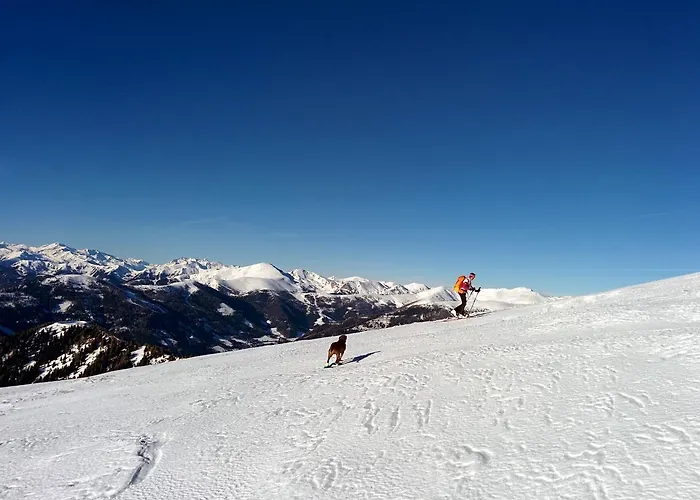 Lercherhof Apartament Feld am See