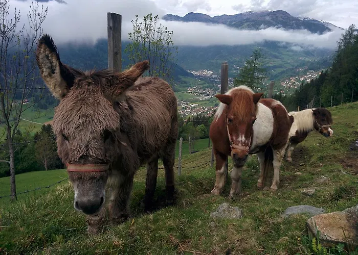Apartament Lercherhof